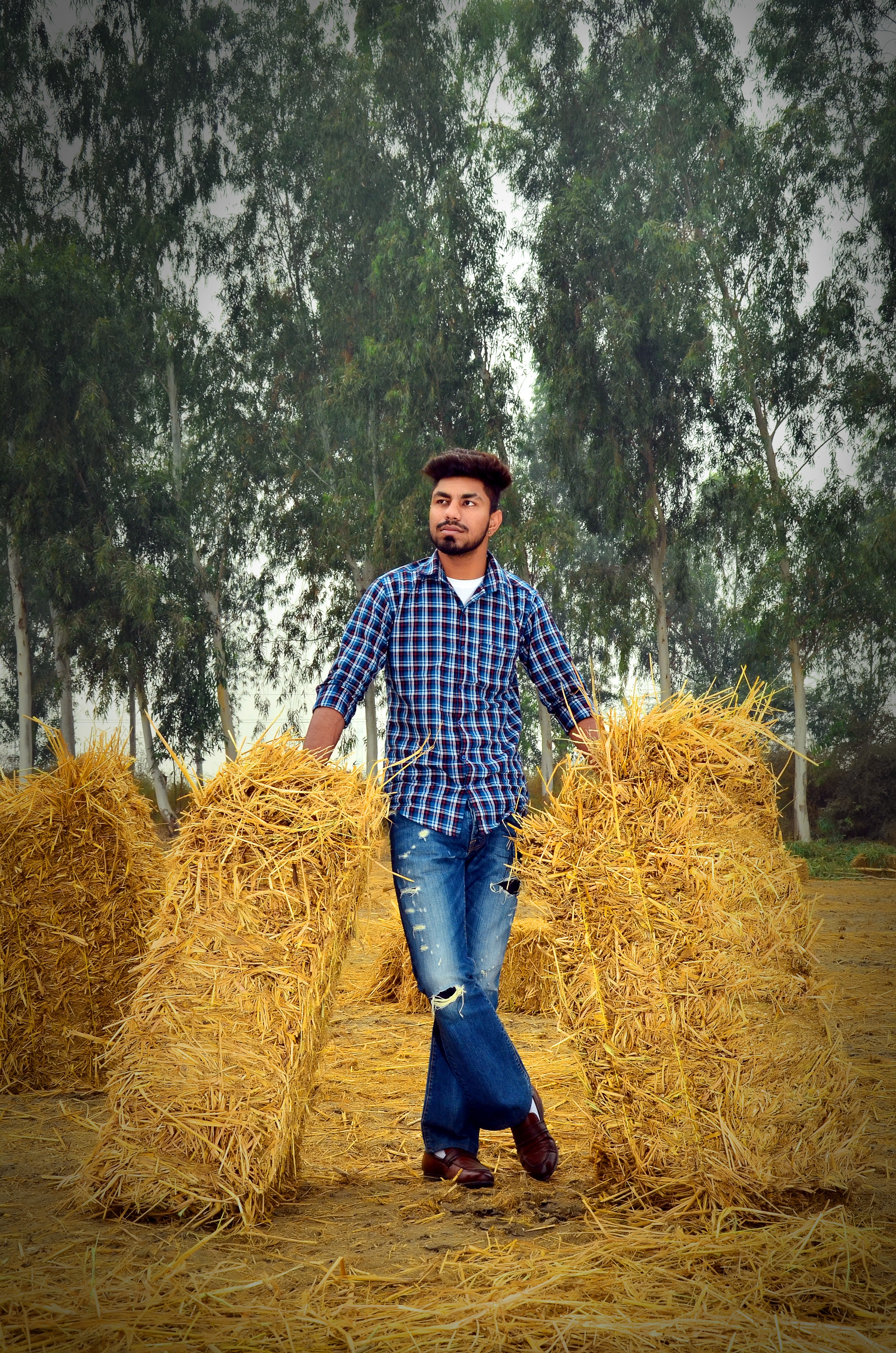 Lovv sidhu