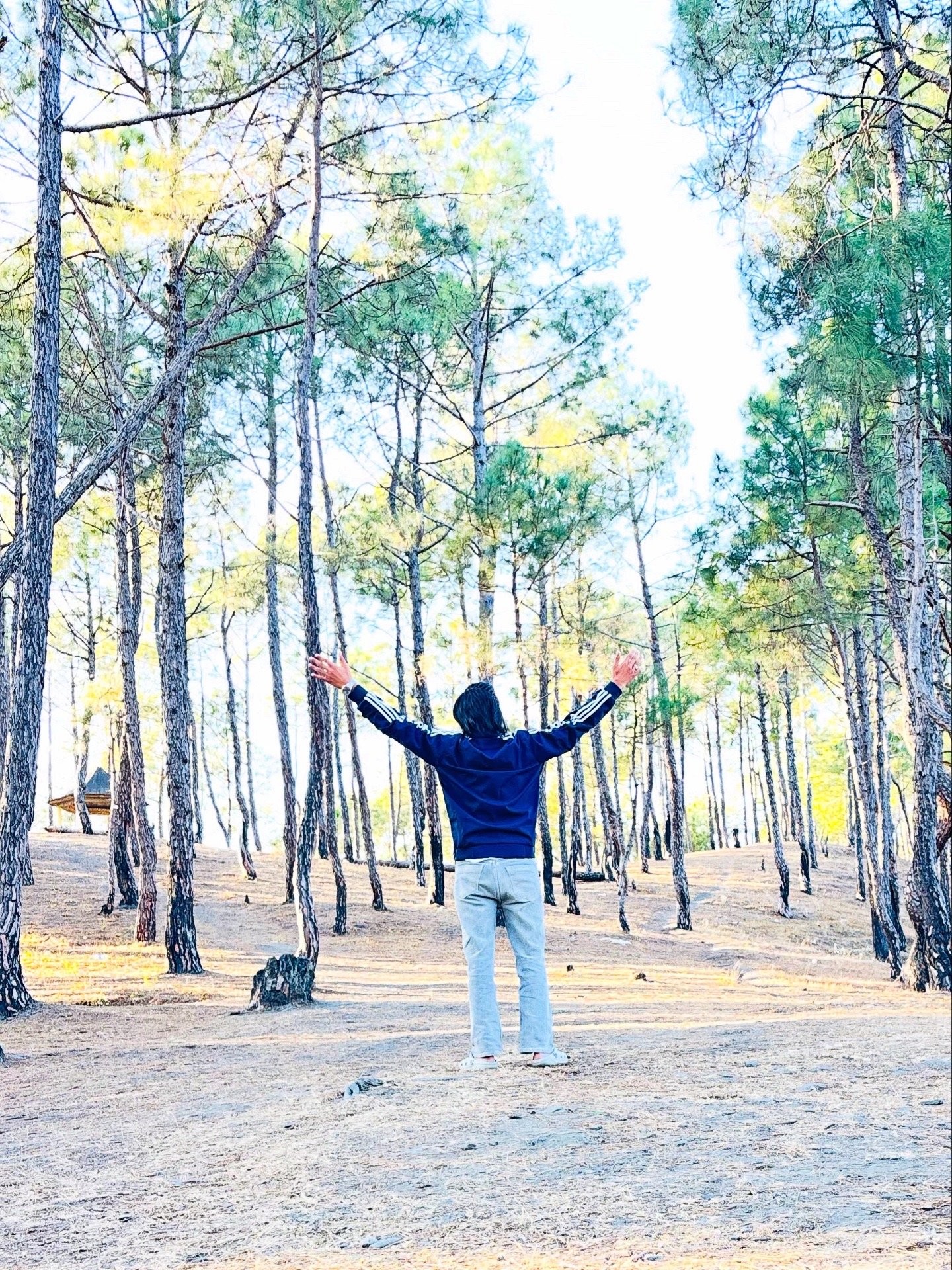 Rohit Banerjee