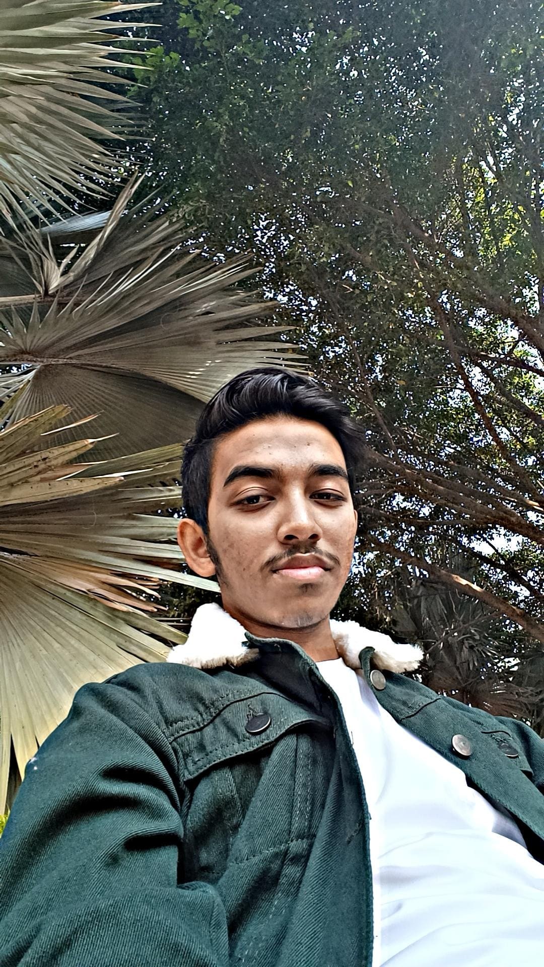 Him jyoti